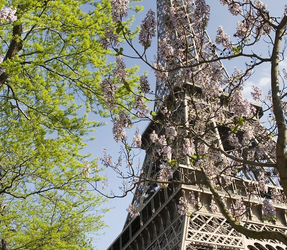 Eiffel Tower, Paris, France