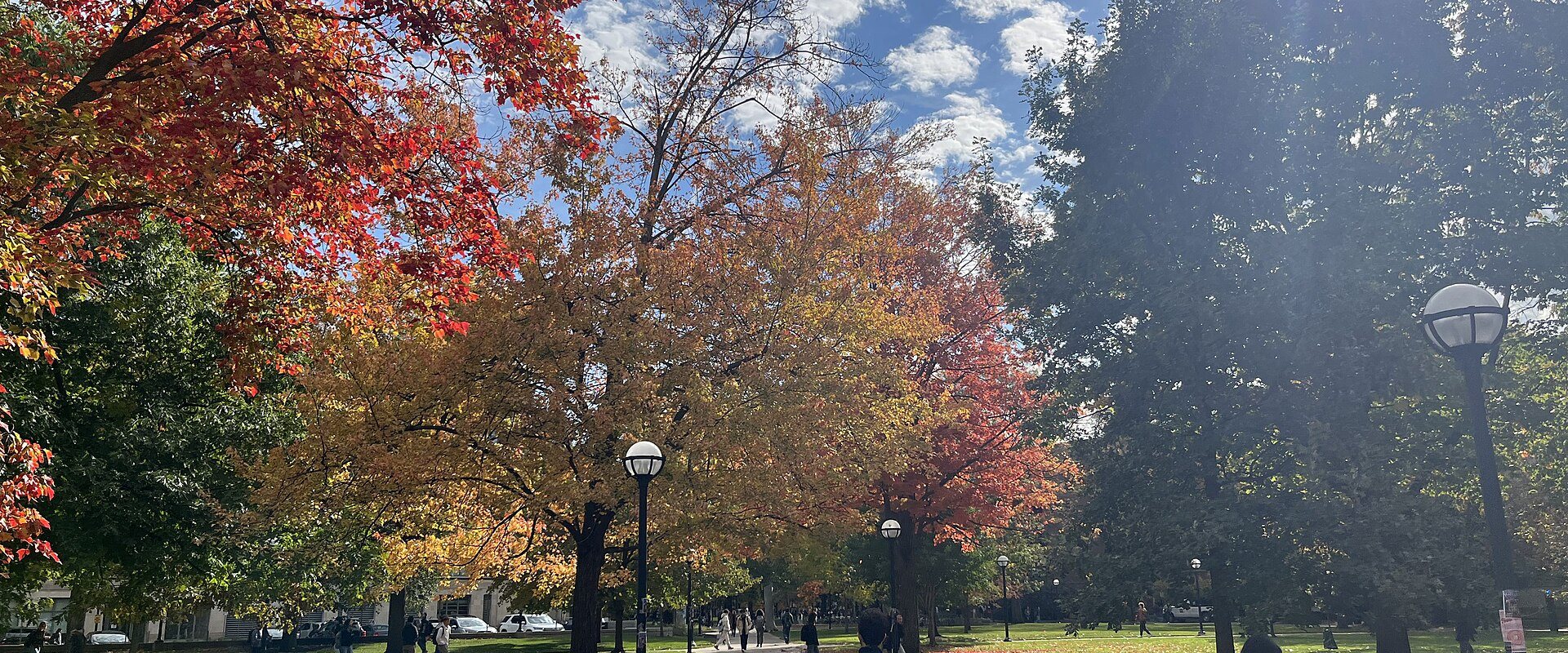 Fall Colors at the University of Michigan's Diag